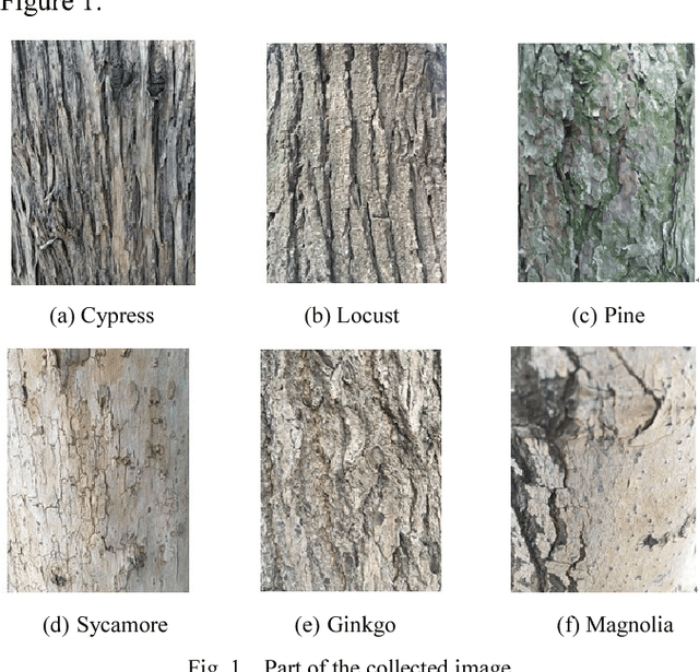 Figure 1 for Tree Recognition APP of Mount Tai Based on CNN