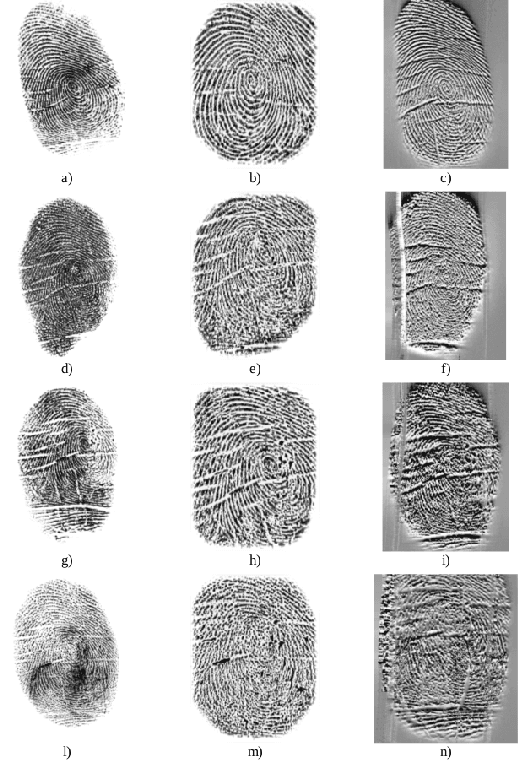 Figure 2 for LivDet in Action - Fingerprint Liveness Detection Competition 2019
