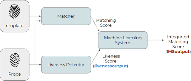 Figure 4 for LivDet in Action - Fingerprint Liveness Detection Competition 2019