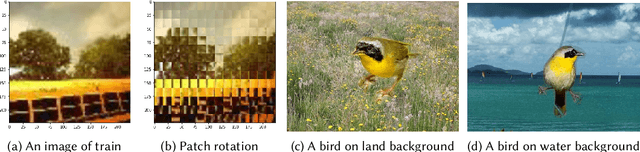 Figure 2 for Vision Checklist: Towards Testable Error Analysis of Image Models to Help System Designers Interrogate Model Capabilities