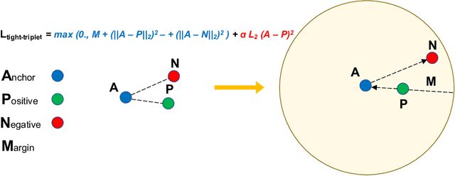 Figure 1 for Better Knowledge Retention through Metric Learning
