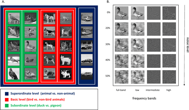 Figure 1 for Object categorization in finer levels requires higher spatial frequencies, and therefore takes longer