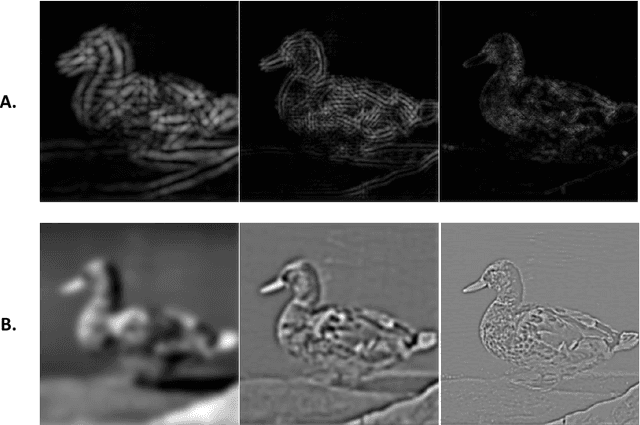 Figure 2 for Object categorization in finer levels requires higher spatial frequencies, and therefore takes longer