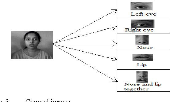 Figure 3 for Recognition of Facial Expression Using Eigenvector Based Distributed Features and Euclidean Distance Based Decision Making Technique