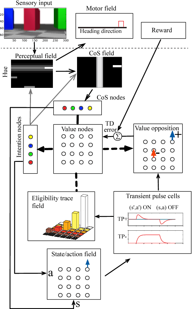 Figure 1 for Autonomous Reinforcement of Behavioral Sequences in Neural Dynamics