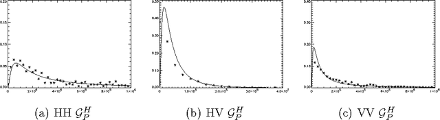 Figure 4 for Polarimetric SAR Image Segmentation with B-Splines and a New Statistical Model
