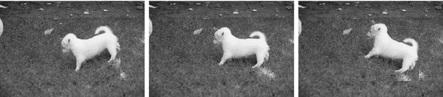 Figure 1 for Analysis of convolutional neural network image classifiers in a rotationally symmetric model