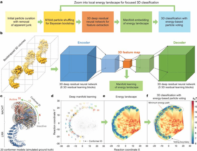Figure 1 for Deep manifold learning reveals hidden dynamics of proteasome autoregulation
