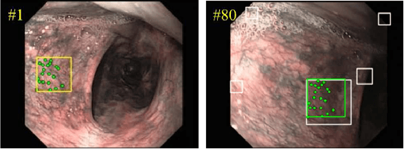 Figure 1 for Deep Feature Tracker: A Novel Application for Deep Convolutional Neural Networks