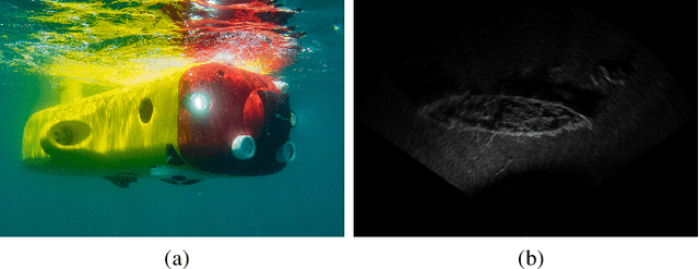 Figure 1 for Rotation-invariant shipwreck recognition with forward-looking sonar