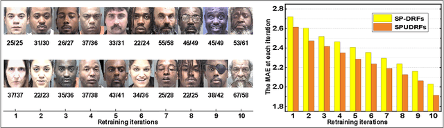 Figure 3 for Self-Paced Deep Regression Forests with Consideration on Underrepresented Samples