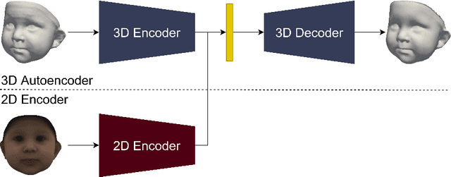 Figure 1 for BabyNet: Reconstructing 3D faces of babies from uncalibrated photographs