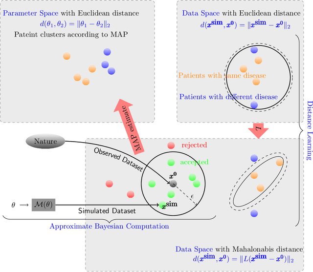 Figure 3 for Interpretable pathological test for Cardio-vascular disease: Approximate Bayesian computation with distance learning