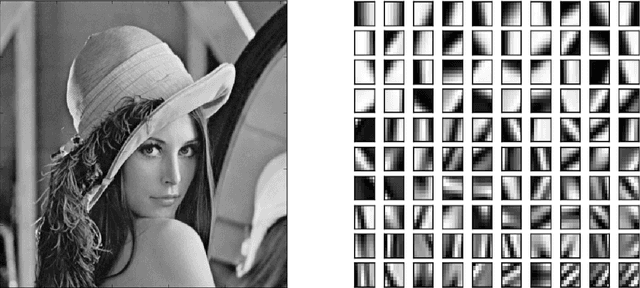 Figure 1 for A Convex Functional for Image Denoising based on Patches with Constrained Overlaps and its vectorial application to Low Dose Differential Phase Tomography