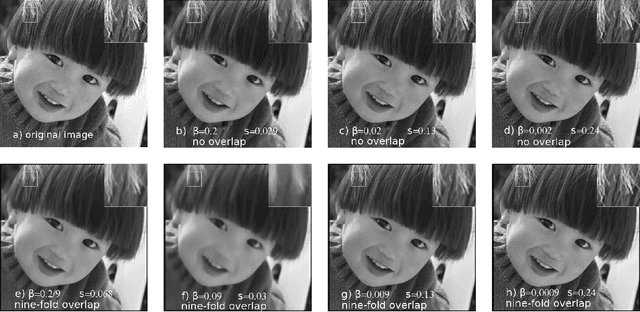 Figure 2 for A Convex Functional for Image Denoising based on Patches with Constrained Overlaps and its vectorial application to Low Dose Differential Phase Tomography