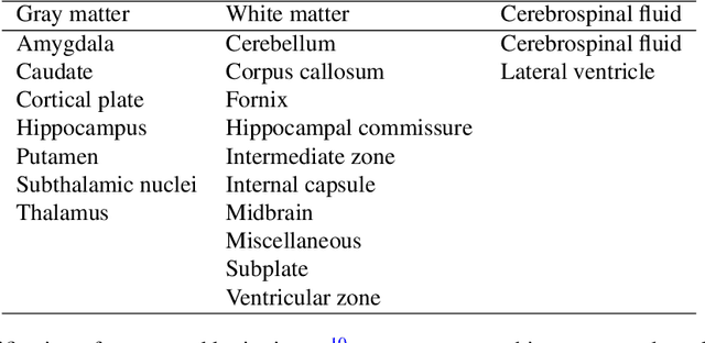 Figure 1 for FaBiAN: A Fetal Brain magnetic resonance Acquisition Numerical phantom