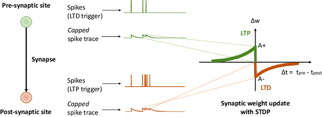 Figure 3 for Spike-based local synaptic plasticity: A survey of computational models and neuromorphic circuits