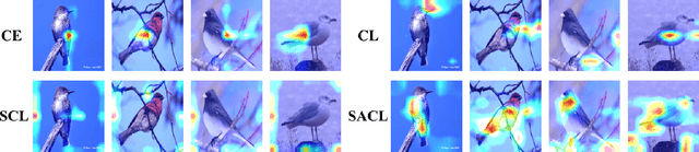Figure 4 for Dual Path Structural Contrastive Embeddings for Learning Novel Objects