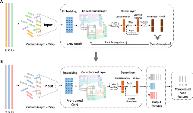 Figure 3 for Bacteriophage classification for assembled contigs using Graph Convolutional Network