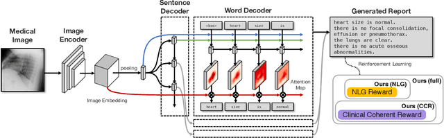 Figure 3 for Clinically Accurate Chest X-Ray Report Generation