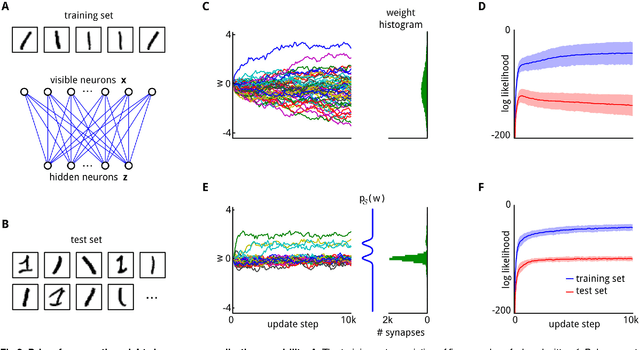 Figure 2 for Network Plasticity as Bayesian Inference