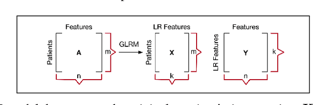 Figure 1 for Unsupervised learning with GLRM feature selection reveals novel traumatic brain injury phenotypes