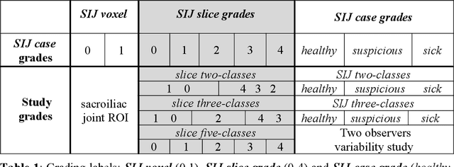 Figure 2 for Automatic detection and diagnosis of sacroiliitis in CT scans as incidental findings