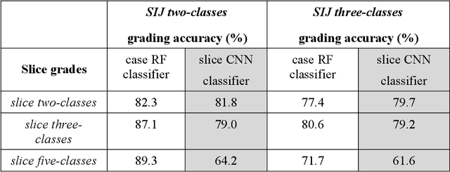Figure 4 for Automatic detection and diagnosis of sacroiliitis in CT scans as incidental findings