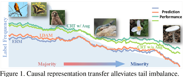 Figure 1 for Supercharging Imbalanced Data Learning With Causal Representation Transfer