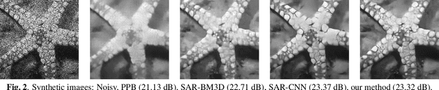 Figure 3 for Towards Deep Unsupervised SAR Despeckling with Blind-Spot Convolutional Neural Networks