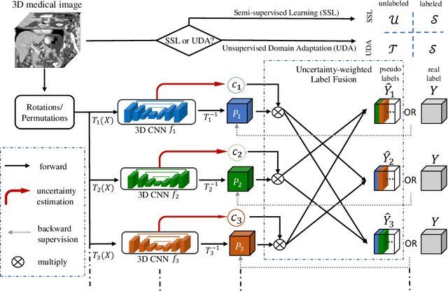 Figure 3 for Uncertainty-aware multi-view co-training for semi-supervised medical image segmentation and domain adaptation