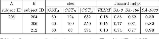 Figure 1 for Mapping Tractography Across Subjects