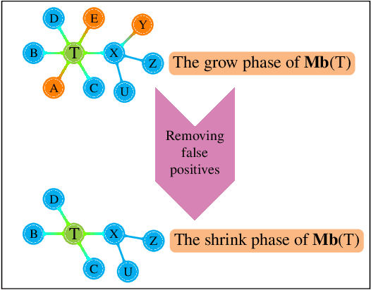 Figure 1 for Learning LWF Chain Graphs: A Markov Blanket Discovery Approach