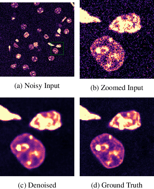 Figure 1 for Self-Supervised Poisson-Gaussian Denoising