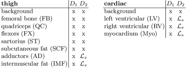 Figure 2 for Combining Heterogeneously Labeled Datasets For Training Segmentation Networks