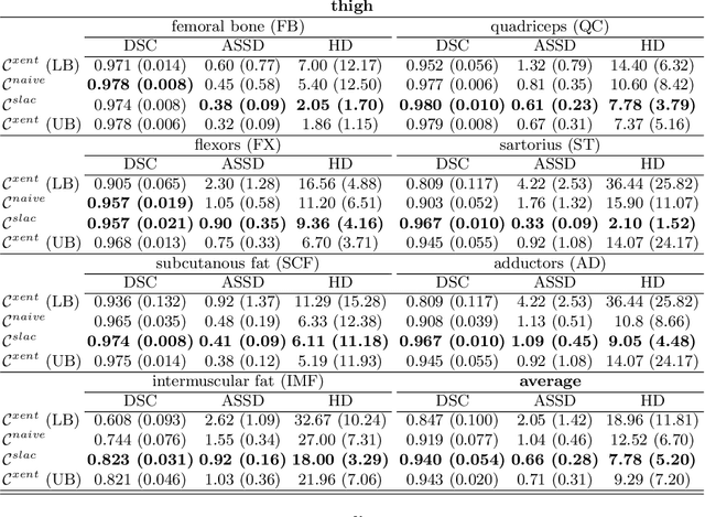 Figure 3 for Combining Heterogeneously Labeled Datasets For Training Segmentation Networks