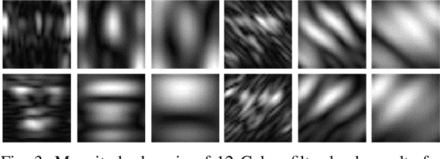 Figure 3 for A Fusion-based Gender Recognition Method Using Facial Images
