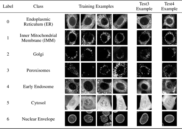 Figure 1 for The Cells Out of Sample dataset and benchmarks for measuring out-of-sample generalization of image classifiers