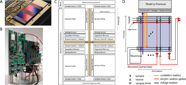 Figure 1 for The BrainScaleS-2 accelerated neuromorphic system with hybrid plasticity