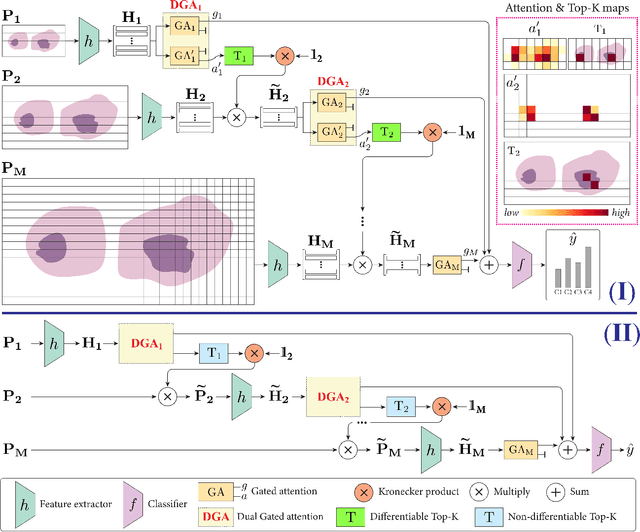 Figure 3 for Differentiable Zooming for Multiple Instance Learning on Whole-Slide Images