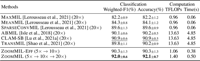 Figure 2 for Differentiable Zooming for Multiple Instance Learning on Whole-Slide Images
