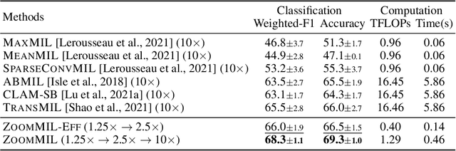 Figure 4 for Differentiable Zooming for Multiple Instance Learning on Whole-Slide Images