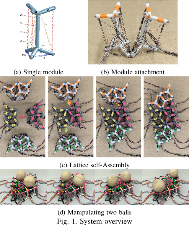 Figure 1 for Soft Lattice Modules that Behave Independently and Collectively