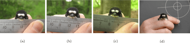 Figure 1 for Graph clustering, variational image segmentation methods and Hough transform scale detection for object measurement in images