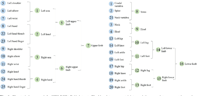 Figure 3 for Dynamic Hypergraph Convolutional Networks for Skeleton-Based Action Recognition