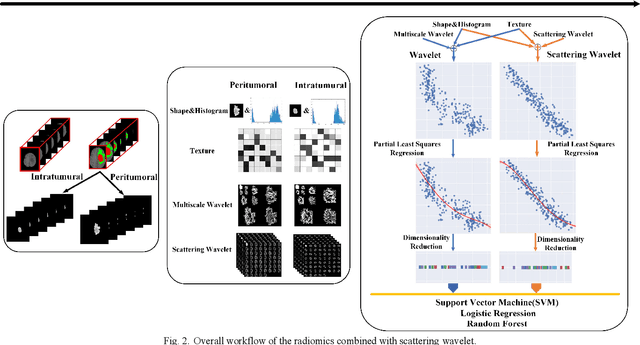 Figure 2 for Glioma Grade Predictions using Scattering Wavelet Transform-Based Radiomics
