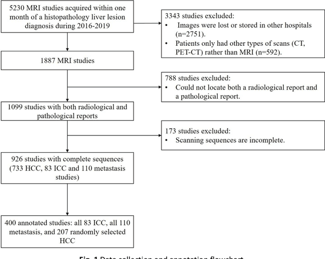 Figure 1 for A deep learning pipeline for localization, differentiation, and uncertainty estimation of liver lesions using multi-phasic and multi-sequence MRI