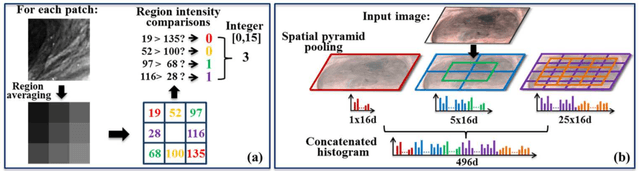Figure 3 for Robust Image Descriptors for Real-Time Inter-Examination Retargeting in Gastrointestinal Endoscopy