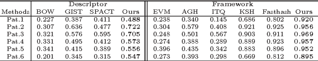 Figure 2 for Robust Image Descriptors for Real-Time Inter-Examination Retargeting in Gastrointestinal Endoscopy