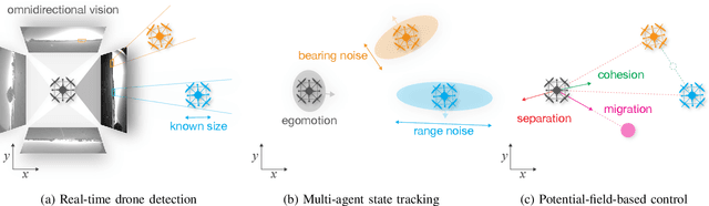 Figure 2 for Vision-based flocking in outdoor environments